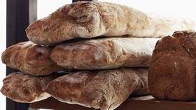 A batch of rustic loaves of bread baked with steam